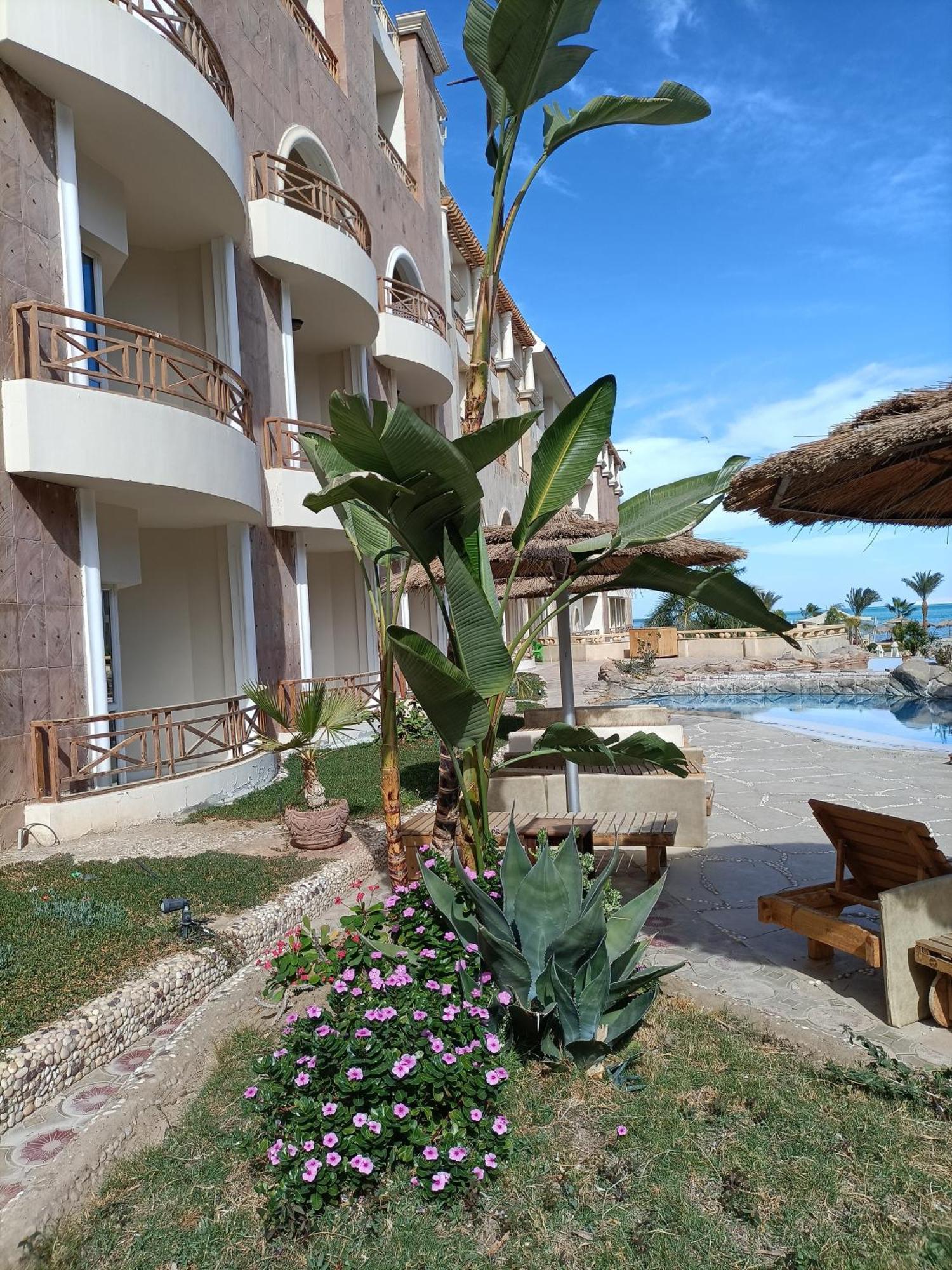 Tony'S Privy Beds By Red Sea Διαμέρισμα Χουργκάντα Εξωτερικό φωτογραφία